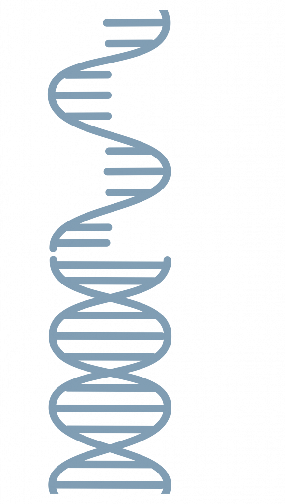 Eine grafisch aufgearbeitet Doppelhelix zur Darstellung eines DNA-Strangs.